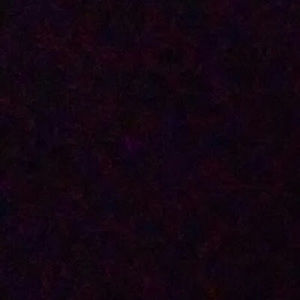 Meet your Posher, Valentina